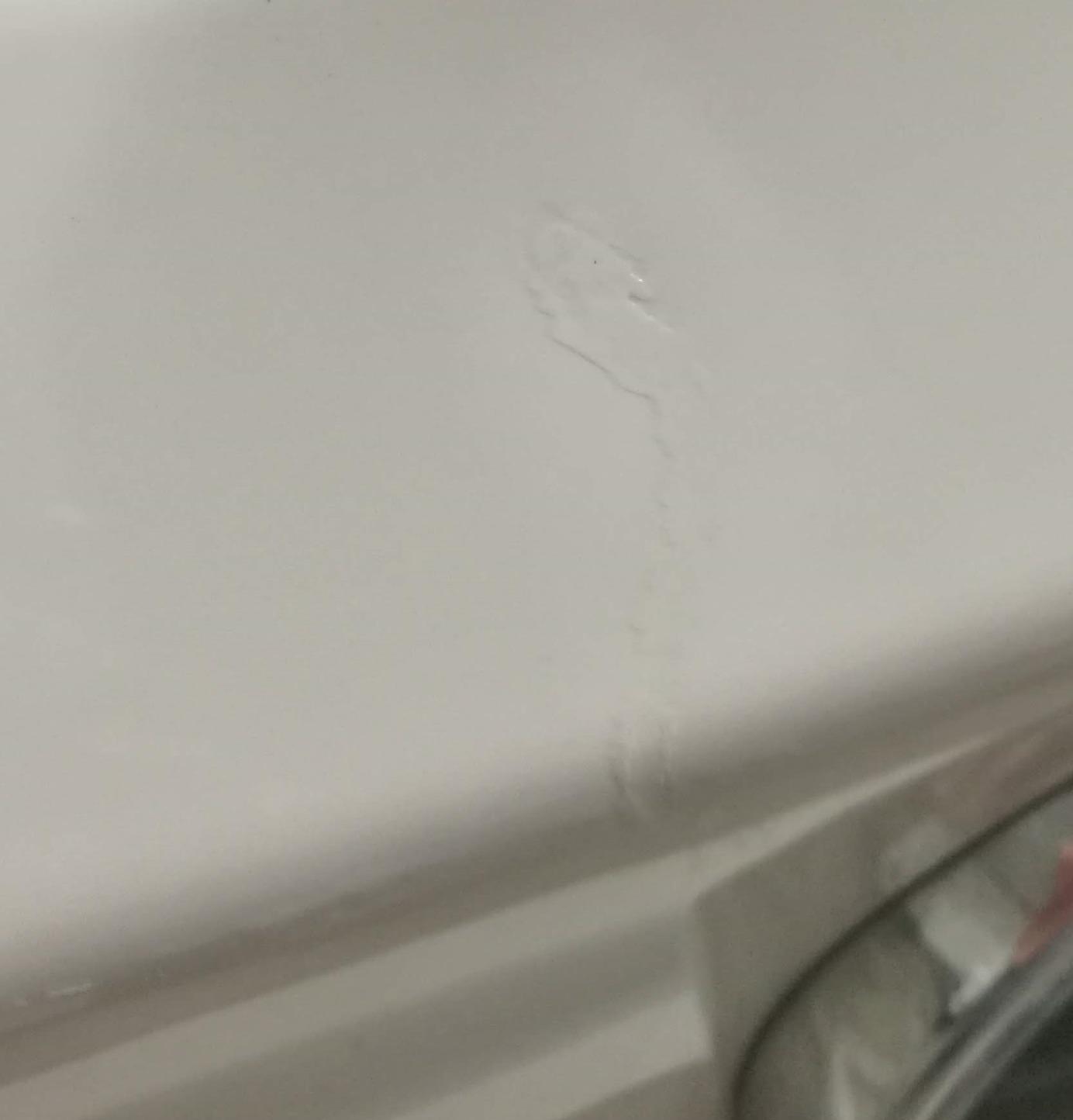 Photo de Dudu Ringel 1